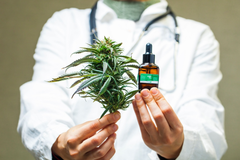 Câmara de Goiânia aprova criação de centro público para tratamento com cannabis medicinal